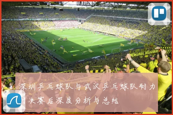 深圳乒乓球队与武汉乒乓球队耐力对决赛后深度分析与总结