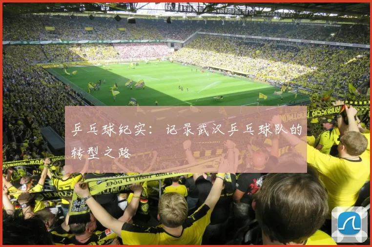 乒乓球纪实：记录武汉乒乓球队的转型之路