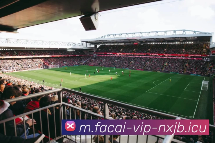 MK体育服务体系